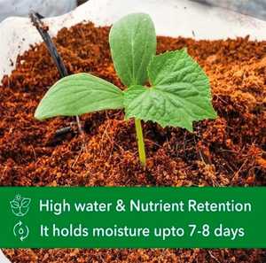 Bloque de Fibra de Coco 100% Natural, Substrato para Cultivo de Plantas, Alta Retención de Agua, Ligero, Biodegradable, Tamil Nadu - Product Image 1