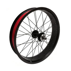 135mm Open Maat 20 Inch Vet 20x4.0 Elektrische E-<span class=keywords><strong>Bike</strong></span> Fiets Sneeuwfiets Accessoires Onderdelen Spaak Voorwiel met As - Product Image 5