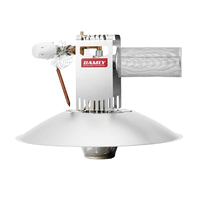 Thermostat automatique pour chauffage de poulailler au gaz GPL, avec vanne de sécurité et lampe chauffante pour poussins, idéal pour l'élevage de poulets, porcs et bétail en ferme.
