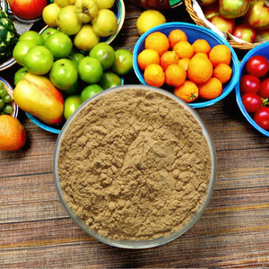 Chất lượng cao chiết xuất thảo dược Châu Phi xoài chiết xuất hạt bột 4:1 20:1 trống bao bì ISO9001 chứng nhận - Product Image 2