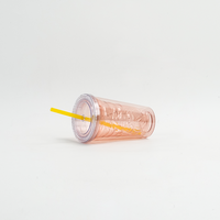 Gobelet isotherme réutilisable en plastique acrylique personnalisé de 14 oz, à double paroi, sans BPA, avec couvercle et paille