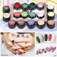 13 Couleurs Cuir Gel Peinture pour Nail Art UVset Soak-Off Glitter Pure Gel pour Ongles Peinture
