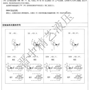วาล์วระบายแรงดันแบบควบคุมด้วยนักบิน Db Dbw 315 บาร์ 650 ลิตร/นาที วาล์วไฮดรอลิกเหล็กหล่อสำหรับเครื่องจักรอุตสาหกรรม - Product Image 2
