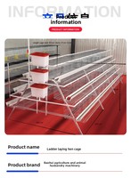 Cage à poules pondeuses de type A, équipement de batterie d'élevage avicole pour poules pondeuses, 3/4 niveaux, dimensions pour ferme