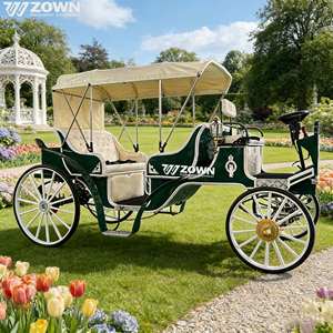 Chariot de style mariage personnalisable, chariot rétro pour visites de parcs, véhicule à roues pour transport spécial, à vendre - Product Image 1