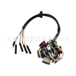 Pièces de modification de moto tout-terrain ATV C110-6 Bobine de stator magnétique 6 pôles Système d'allumage pour ATV et motos tout-terrain - Product Image 5