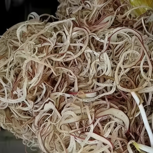 Fleurs de bananier fraîches de haute qualité, entières et en tranches, en provenance du Vietnam, pour l'exportation et la transformation alimentaire // Evan - Product Image 1