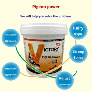 Píldoras de Nutrición para <span class=keywords><strong>Palomas</strong></span> Jóvenes, Vitalidad y Dominancia, Crecimiento, Desarrollo Corporal, Muda, Cría, Carreras, Hechas en China, Empaquetado en Cubo - Product Image 5