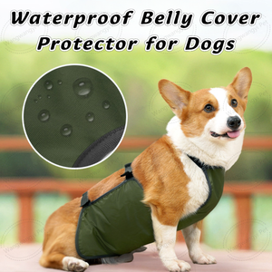 Protector ajustable para perros, protector impermeable para el vientre para Corgis Dachshunds - Product Image 2