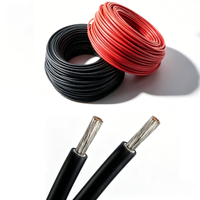 Cable Solar al por Mayor PV1-F H1Z2Z2-K con Aislamiento XLPE, Conductor de Cobre Estañado, Múltiples Tamaños, Rojo y Negro, 6kV