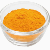 Ubiquinone Coenzyme Q10 Antioxydant Premium pour l'énergie cellulaire et l'anti-âge