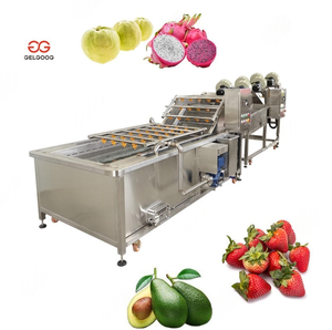 เครื่องล้างผักผลไม้แบบอัตโนมัติพร้อมสายพานลำเลียงและแปรงฟองโอโซน - Product Image 1