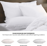 Oreiller économique moderne, doux, à garnissage solide, alternative au duvet, hypoallergénique et durable, et fabricant de literie OEM