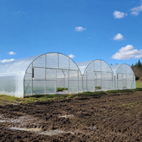 Film de couverture de serre agricole en LDPE, bâche plastique anti-goutte en rouleau pour la culture de tomates, concombres et poivrons