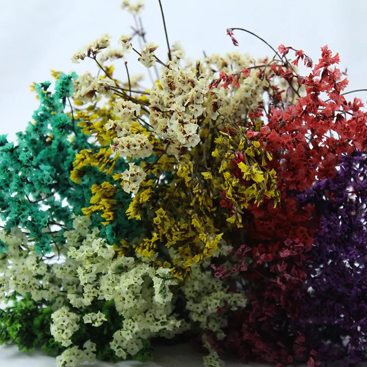 Factory Supply Preserved Dried Flowers Preserved Sea Lavender Flower Limonium Dry Crystal Grass From Kunming Rainbowpopular