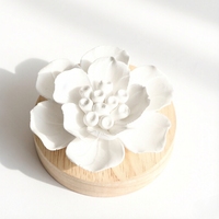 Diffuseur d'arômes en céramique parfumée aux huiles essentielles, pierre désodorisante pour la maison et la garde-robe