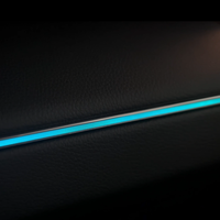 Luces Ambientales Compatibles con Toyota Prado/LC250 24-25 (Moldura Negro Piano Mil Sombras Diez Luces) 22 Luces