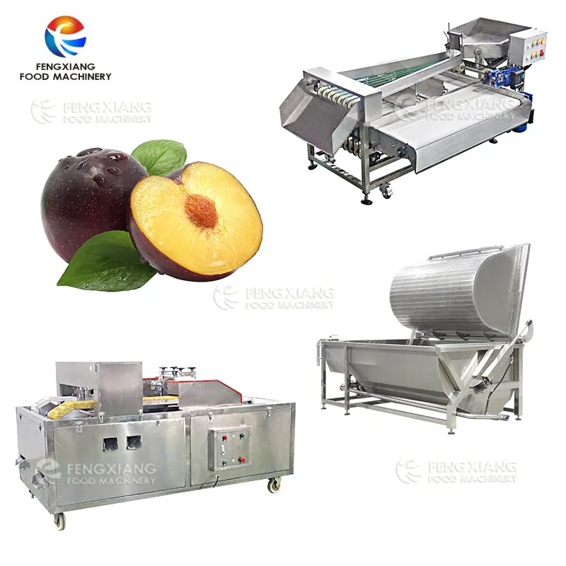 Sorting Washing Coring machine for Fresh Plum Prune Apple Olive small round Fruit Pitting pitter for plum processing plant