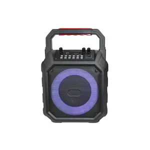 T Guangzhou Manufacturer Bluetooth Speaker Light Trolley Karaoke Portable Partybox 6 inch Party Speaker