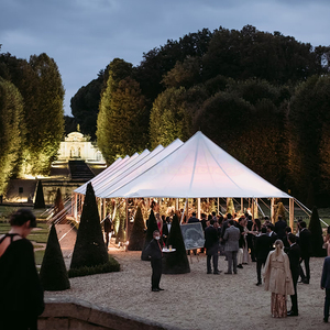 Carpas para bodas y fiestas al por mayor en venta, carpas para eventos blancas para 300 personas, carpas para eventos al aire libre con paredes laterales - Product Image 6