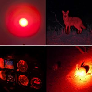 Portable lumière rouge lampe de poche LED étanche stylo lumineux lumière pour la chasse nuit astronomie Aviation Observation <span class=keywords><strong>tortue</strong></span> plage sûre - Product Image 5