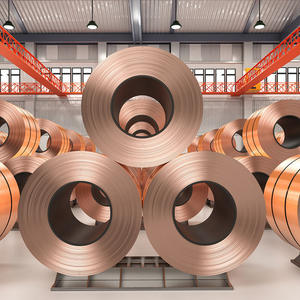 C17200 C17300 C17500 C27000 Bobine de feuille de bronze de cuivre laminée à chaud de haute qualité au béryllium - Product Image 2