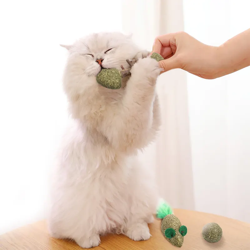 Natuurlijke Kat Catnip Behandelen Ballen Huisdier Catnip Speelgoed Interactieve Muizen Kitten Speelgoed Katten Spelen Cleaning Tanden Toy