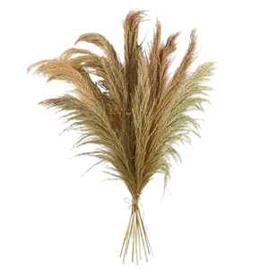 Plantas Artificiales Creativas al por Mayor, de Gran Tamaño, <span class=keywords><strong>Flores</strong></span> Secas, Vegetación, Lindas, Casi Naturales, en Maceta, Simulación de Cañas - Product Image 1