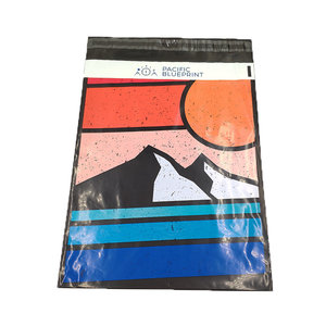 Tear Proof Trang Phục Bao Bì Tùy Chỉnh Logo In Bao Bì Phong Bì - Product Image 5