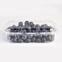 Contenitore in Plastica Trasparente PET per Frutta, Scatola Blister per Mirtilli, Confezione Clamshell per Mirtilli