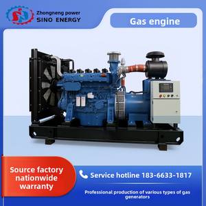 Zhongneng 350KW SE350GF 230V 천연 가스/LPG 50Hz 가스 발생기 세트 제조업체 산동 웨이팡에서 직접 공급 - Product Image 3