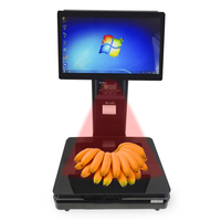 Balance tactile IA RUINAI RN-G avec écran 15,6 pouces 10 points, mémoire 4G/8G/16G, imprimante thermique intégrée 58 mm, compatible Windows/Android