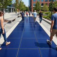 Dalles solaires IBC BIPV en silicium monocristallin robustes et antidérapantes à haute efficacité pour les parcs et les allées des cours