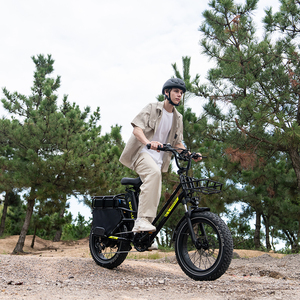 Bicicleta Eléctrica KOOLUX X8 en Stock en la UE/Reino Unido, 250W para la UE, 750W para la UE, Motor de 48V 64Ah, Batería de Litio Doble, Portaequipajes Trasero, 25KM/H, Bicicleta Eléctrica Urbana - Product Image 6