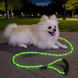 도매 강아지 용품 라이트업 개 목줄 LED 발광 애완견 목줄 야광 나일론 애완견 충전식 LED 목줄 세트 - Product Image 1