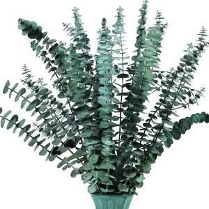 AYOYO OEM 2025 Vente Chaude Feuilles d'Eucalyptus Séchées Décoration Feuilles d'Eucalyptus Préservées - Product Image 6