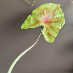Hoja <span class=keywords><strong>de</strong></span> Caladium Tropical Artificial, Planta <span class=keywords><strong>de</strong></span> <span class=keywords><strong>Colocasia</strong></span> Artificial Realista, Ramo <span class=keywords><strong>de</strong></span> Hojas Verdes para Decoración <span class=keywords><strong>de</strong></span> Interiores, Arreglo <span class=keywords><strong>de</strong></span> Jarrones para Sala <span class=keywords><strong>de</strong></span> Estar - Product Image 6
