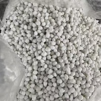 Muestra Gratuita Directo de Fábrica, Cloruro de Amonio al 99%, Fuente de Nitrógeno de Acción Rápida y Rentable, Esencial para un Crecimiento Vegetativo Robusto