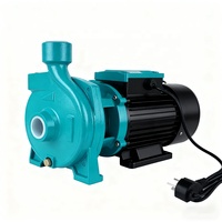 Pompe centrifuge horizontale auto-amorçante haute pression CPM 2,2 kW, débit de 100 m³/h pour usage commercial