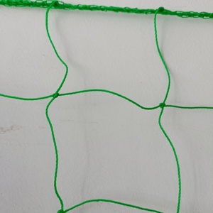 Lưới Leo vườn cây nho dày 1.2x1.2m lưới hỗ trợ Cây dưa chuột - Product Image 5