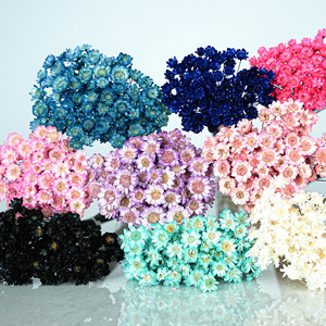 Fleurs séchées miniatures naturelles brésiliennes en gros du Yunnan, idéales pour la Saint-Valentin, la Fête des Mères et Pâques - Product Image 5