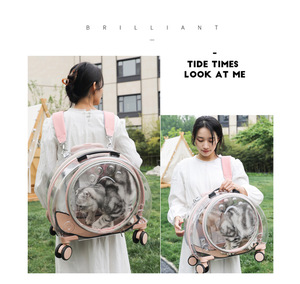 고양이 캐리어 작은 애완 동물 수하물 케이스 휴대용 어깨 상자 투명 간단한 공간 개 가방 - Product Image 4