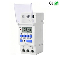 Interruptor de Tiempo Digital Programable Semanal de 7 Días, Monofásico, para Riel DIN, 1NO 1NC, Relé Temporizador AC/DC 12V 24V 48V 110V AC220/230V
