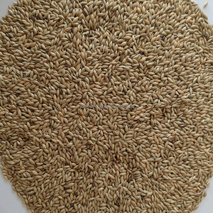 Nihewan Kanarievoer voor Vogels Groothandel Kanariezaad - Product Image 1