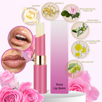 Baume à lèvres sans logo, saveur menthe, végan, stick de soin pour les lèvres, baume à lèvres, maquillage, baume à lèvres, nouveau gel naturel biologique imperméable, stick à lèvres