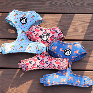 Arnés para Perro Personalizado OEM/ODM, Accesorios para Mascotas, Acolchado Suave, Poliéster con Estampado, Conjunto de Arnés para Perro / Harnais Pour Chiens - Product Image 6
