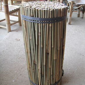 Little <strong>Bamboo</strong> <strong>Cane</strong>/The Best <strong>Bamboo</strong> in the World of GUANGDONG CHINA/<strong>Bamboo</strong> 38cm/8-10mm - Product Image 1