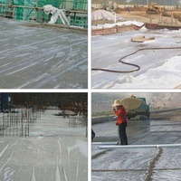 Film de construction en polyéthylène en gros, rouleau de bâche plastique, membrane anti-humidité
