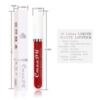 Brillant à lèvres durable 18 couleurs soyeux et doux et mat longue durée antiadhésif beauté des lèvres maquillage rouge à lèvres liquide imperméable à l'eau