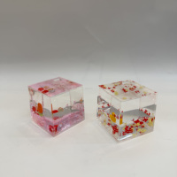 Presse-papiers de bureau en acrylique écologique, forme carrée, personnalisé, avec liquide coloré, effet 3D, dauphin, corail et paillettes brillantes, vente en gros